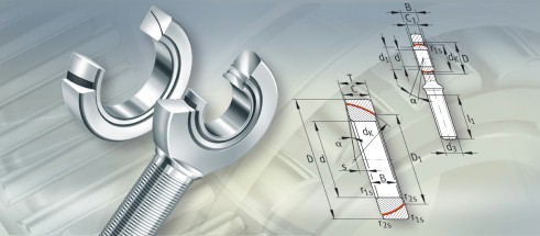 NTNSR1-70B轴承三维模拟图