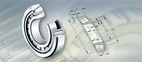 FAG30318A+T2GB090轴承三维模拟图