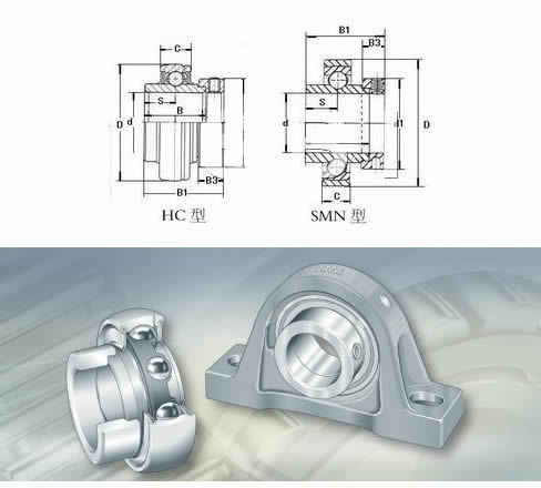 NTNUKFL313;H2313X轴承三维模拟图