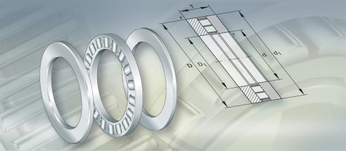 INA81102TN轴承三维模拟图