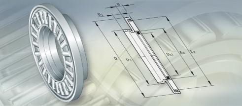 INAZARF60150TN轴承三维模拟图