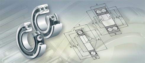 FAGQJ324N2MPA轴承三维模拟图
