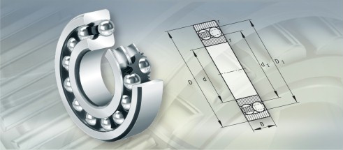 FAG1220K.M.C3轴承三维模拟图